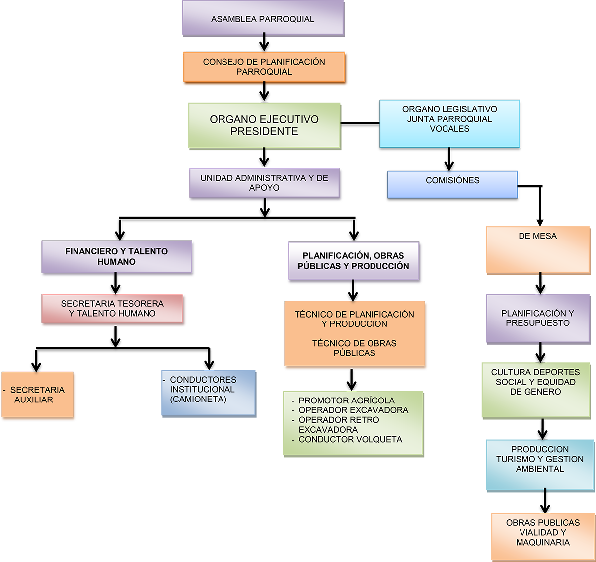 estructuraorganicapm24